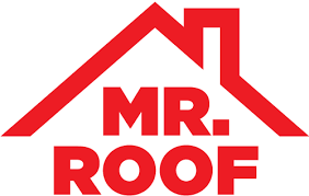 Mr. Roof